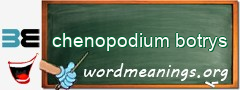 WordMeaning blackboard for chenopodium botrys